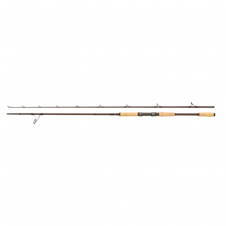 Abu Garcia Beast PRO 802H Allr Pike Spinnrute 40/100 gr.