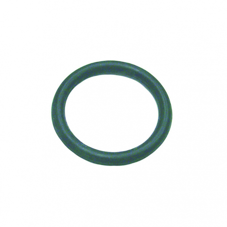 O-Ring für Schwungradgehäuse