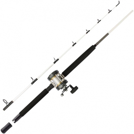 Mitchell Performance Combo Schlepprute SW 15/40 LBs Rolle RH