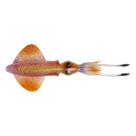 Savage Gear 3D Swim Squid 9,5 künstlicher Tintenfisch