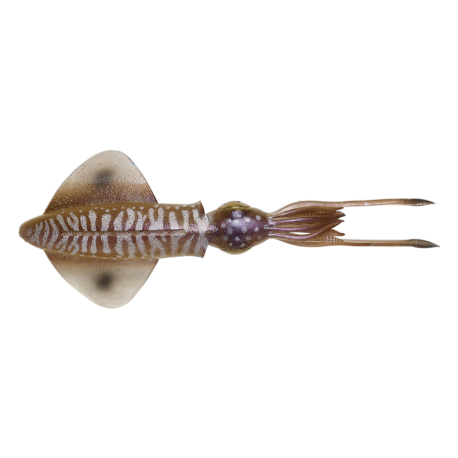 Savage Gear 3D Swim Squid 25 künstlicher Tintenfisch