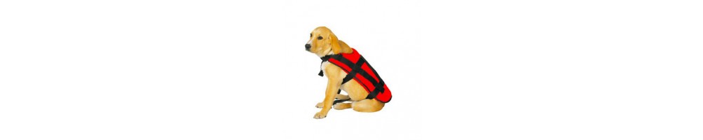Schwimmwesten für Hunde